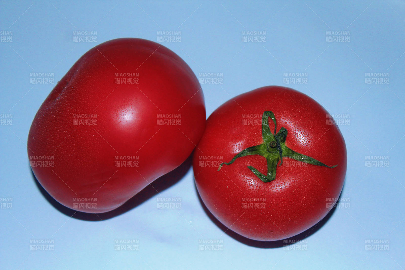 两个新鲜的红色番茄图片