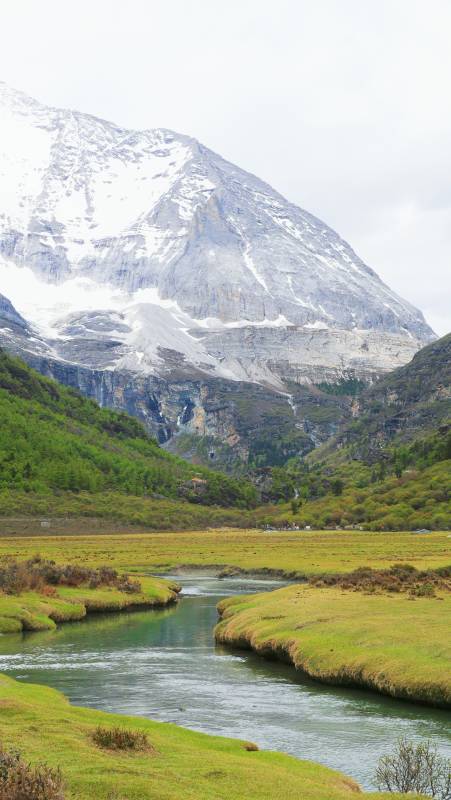 稻城亚丁 雪山下的宁静溪流图片