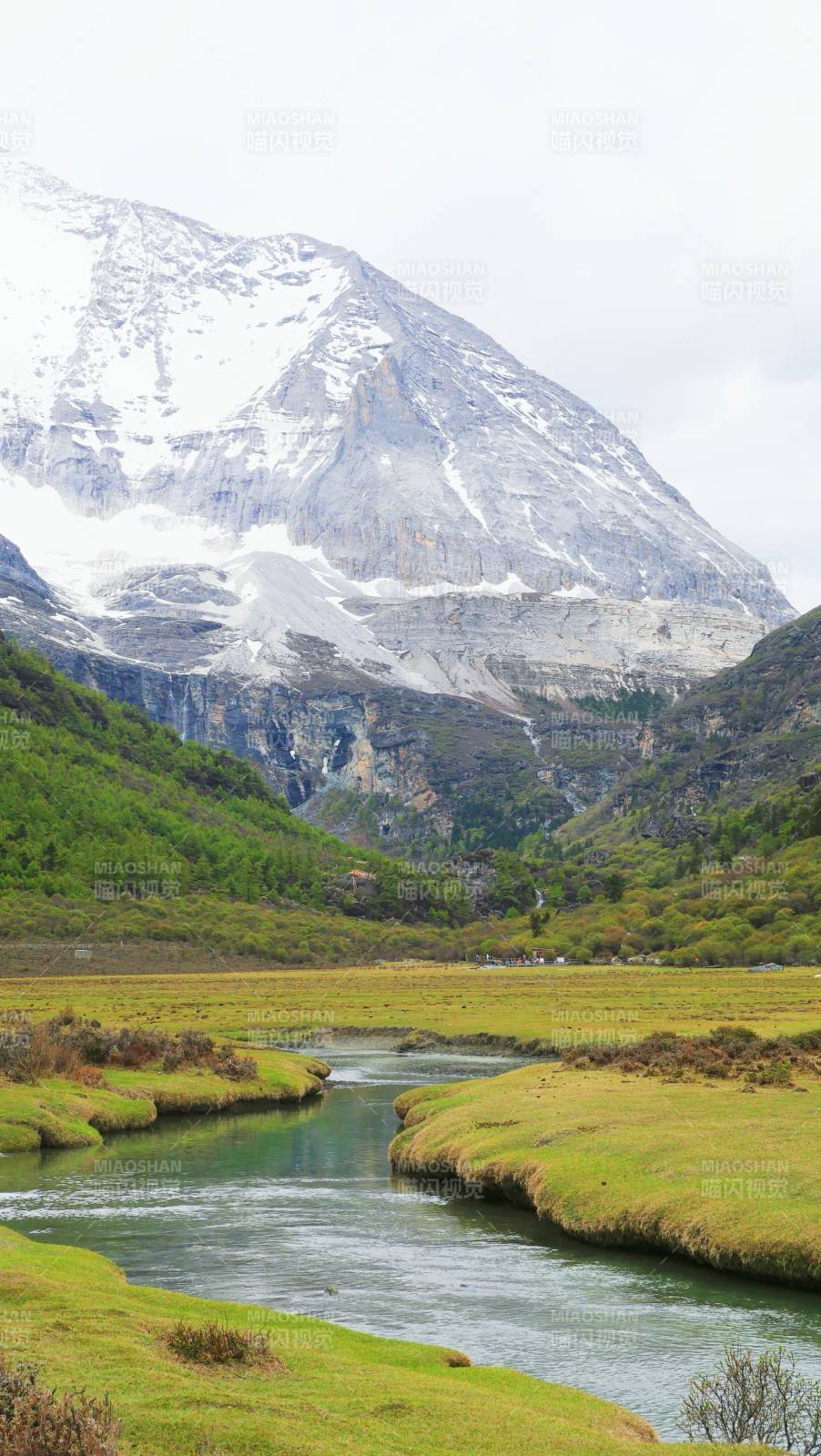 稻城亚丁 雪山下的宁静溪流图片