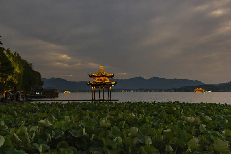 西湖夜景 亭台映荷叶图片