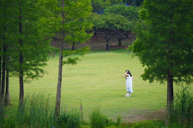 林间草地上的白衣女子图片