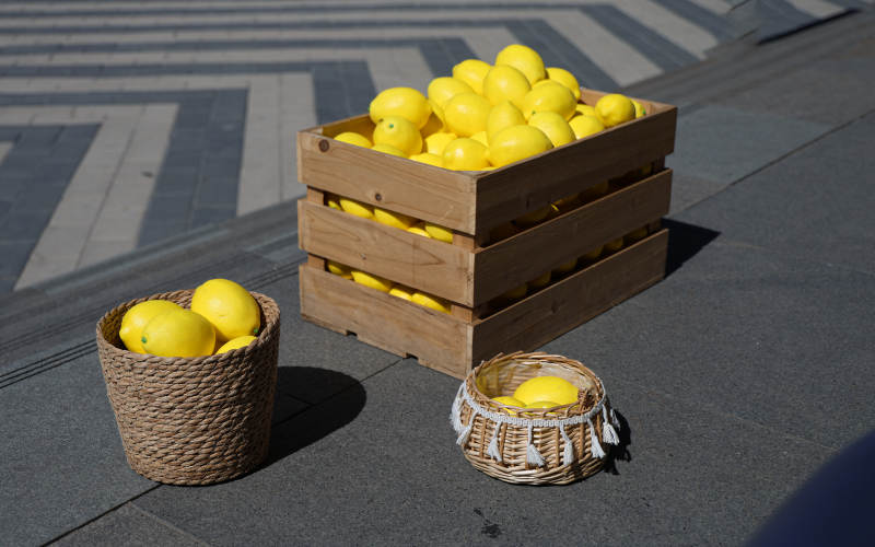 柠檬丰收 摆满街头图片