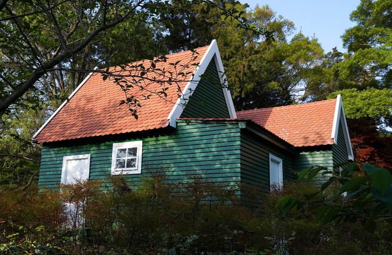 绿屋红瓦隐林间图片