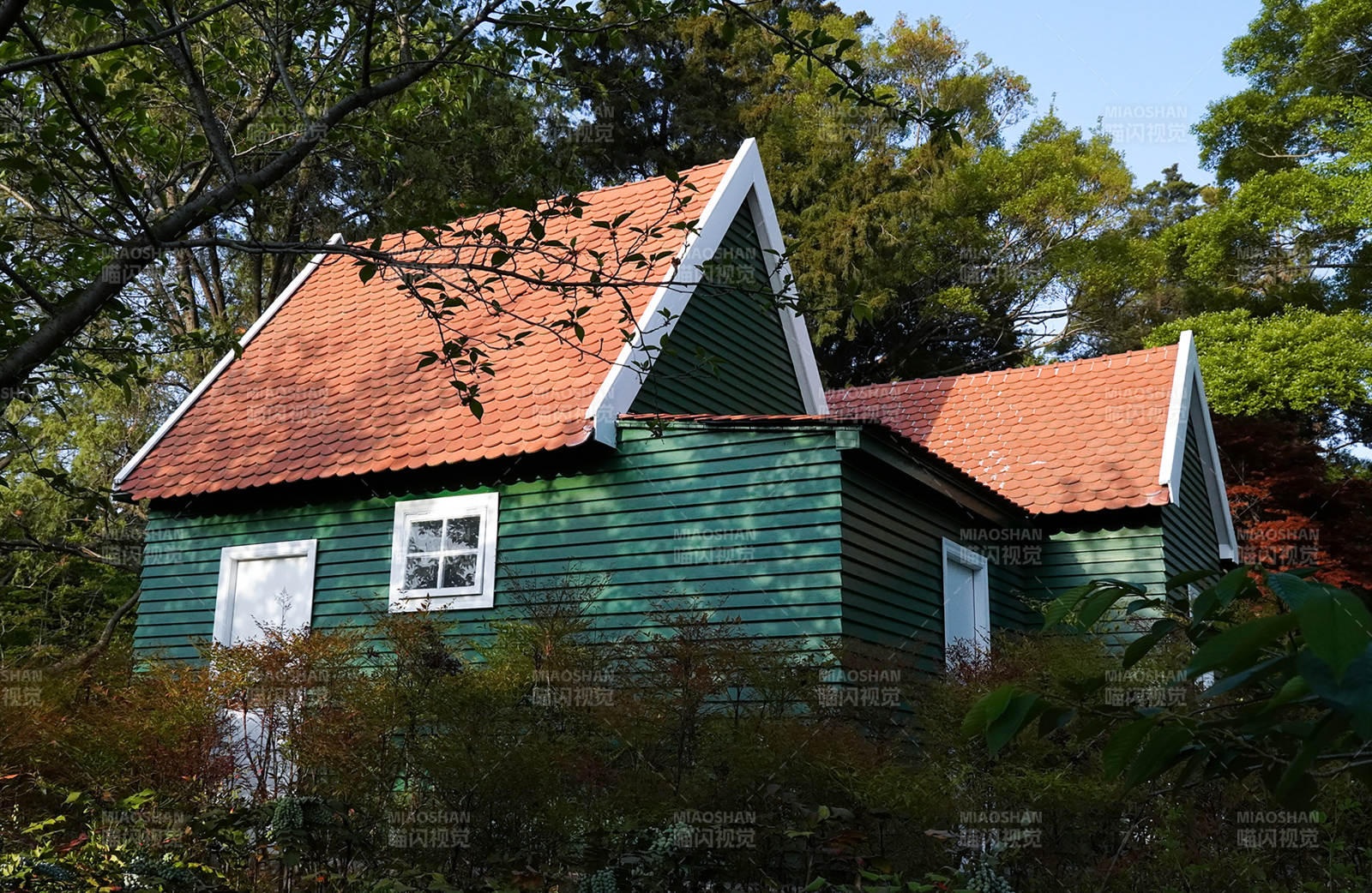 绿屋红瓦隐林间图片