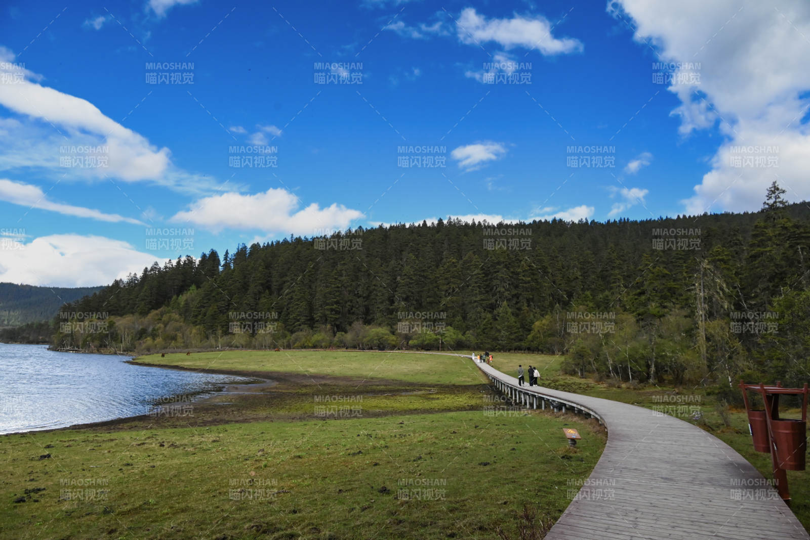 湖畔步道 绿树蓝天--香格里拉普达措图片