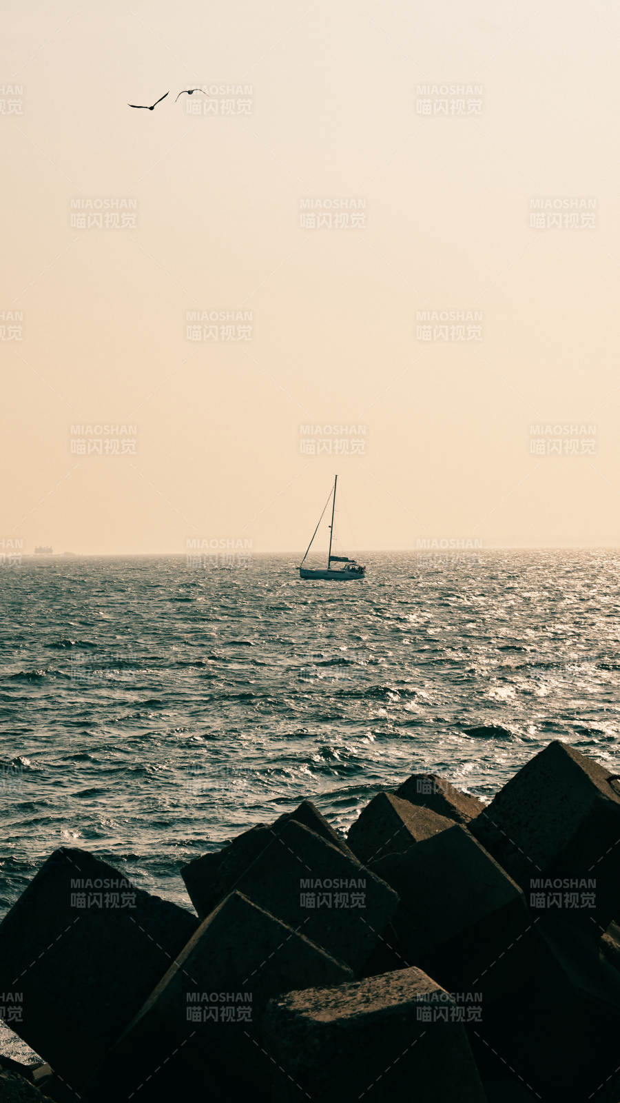 海上的孤独帆影图片