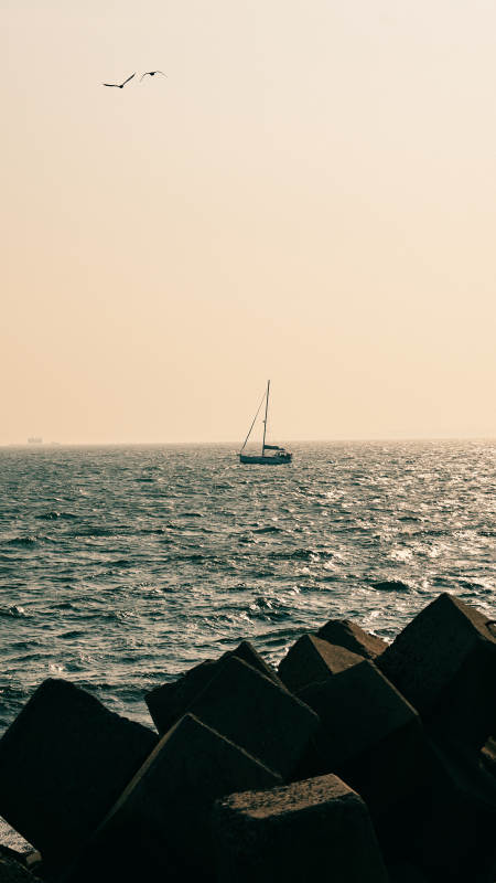 海上的孤独帆影图片