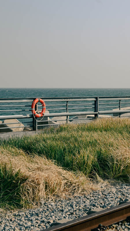 海边护栏与救生圈图片