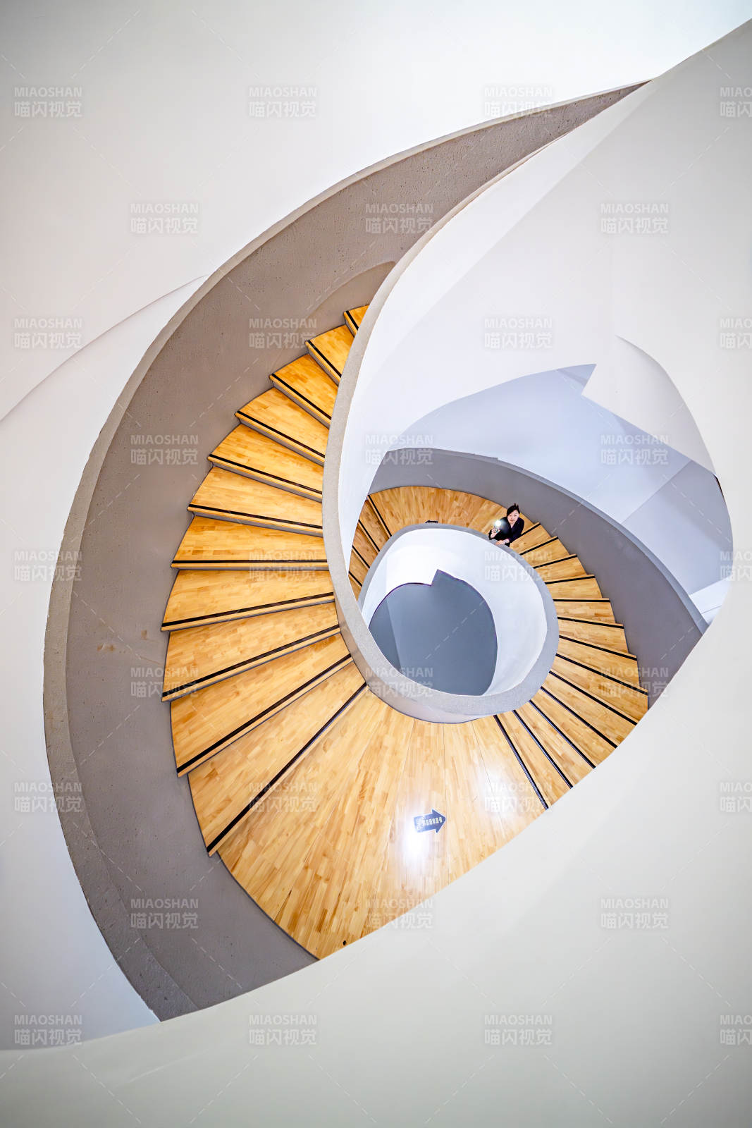 螺旋楼梯的现代美学图片
