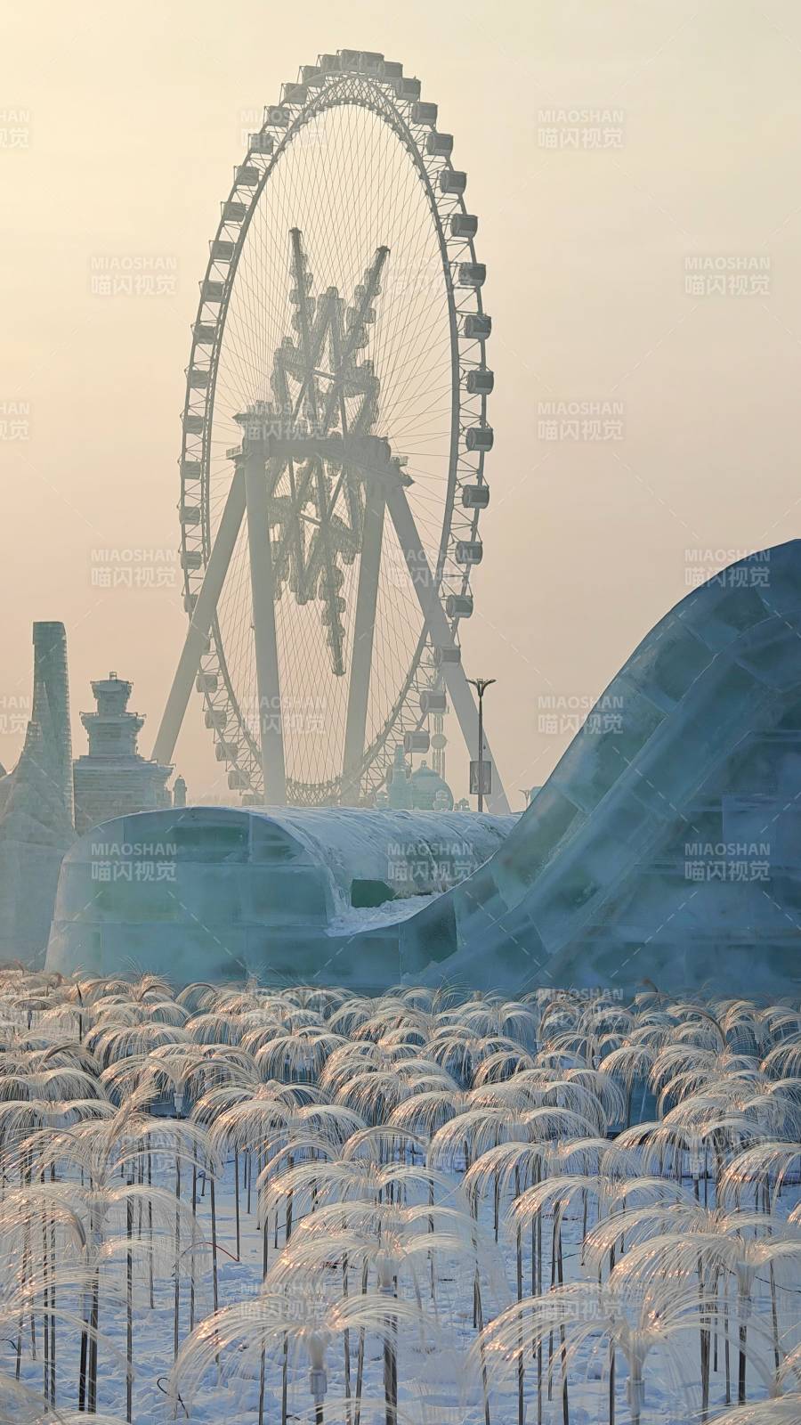冰雪世界摩天轮奇景图片