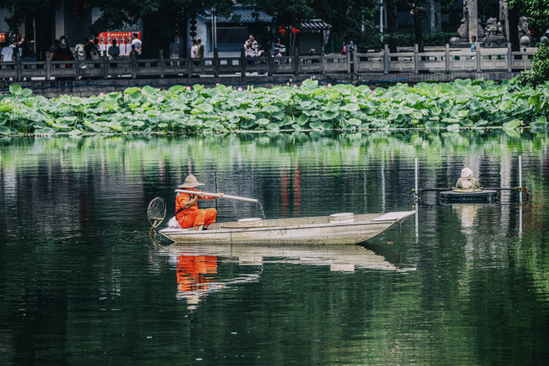 荷塘泛舟 渔人悠然自得图片