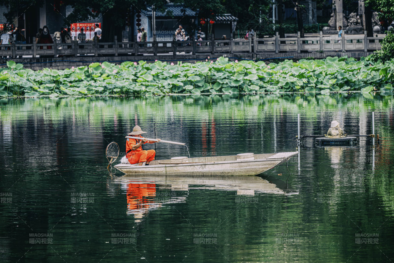 荷塘泛舟 渔人悠然自得图片