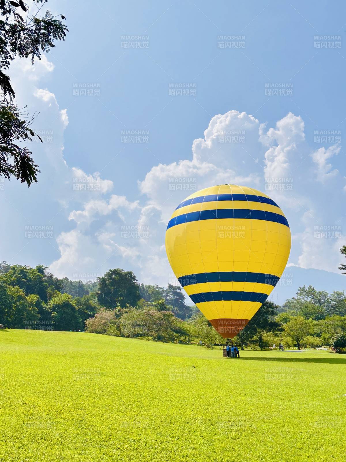 热气球在绿地上升空图片