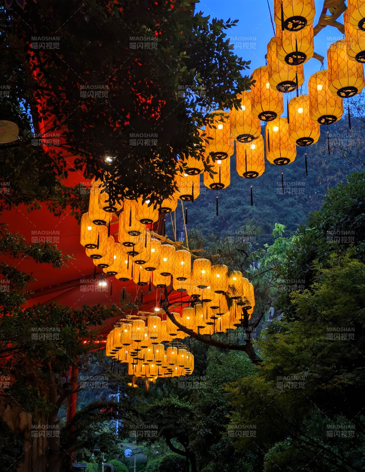 夜景灯笼 树影婆娑图片