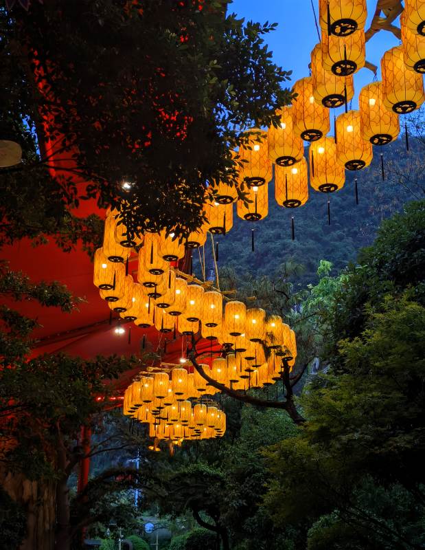 夜景灯笼 树影婆娑图片