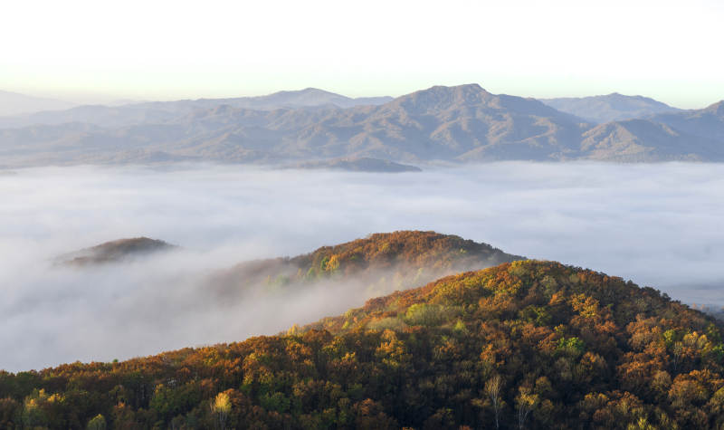 秋山云海 层林尽染图片