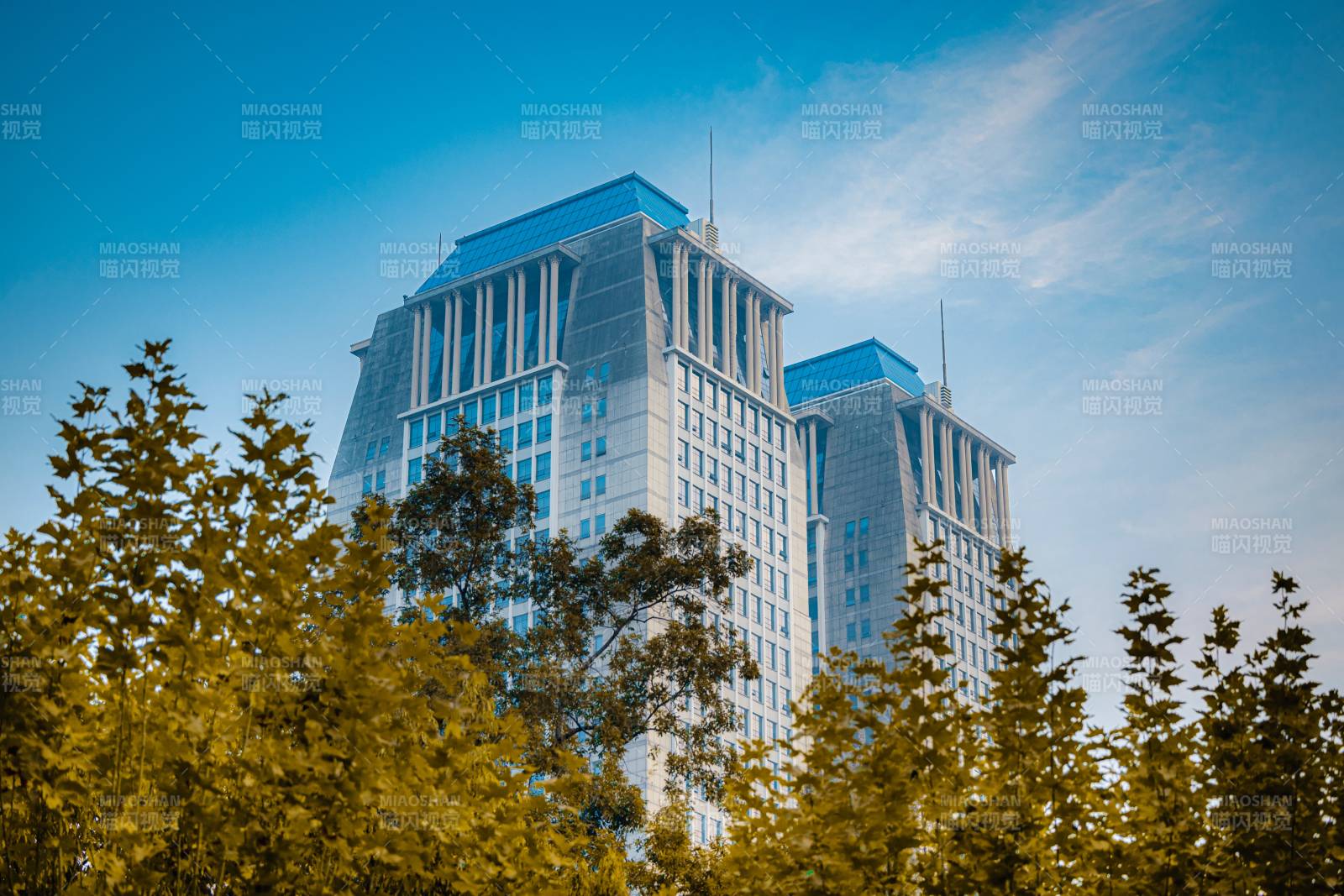 高楼林立 绿树环绕图片