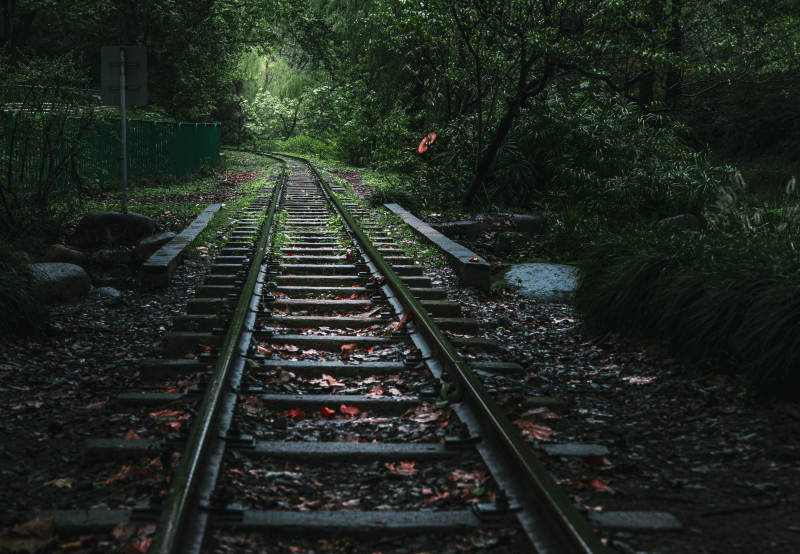 幽静森林中的铁轨图片