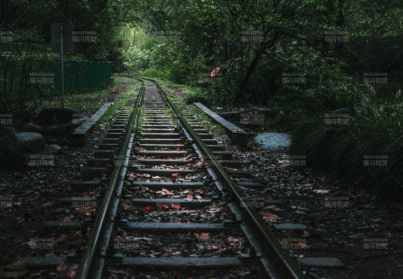 幽静森林中的铁轨图片