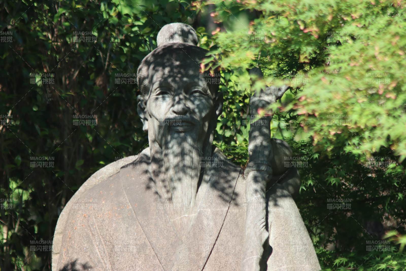 古代雕像与绿叶相映成趣图片