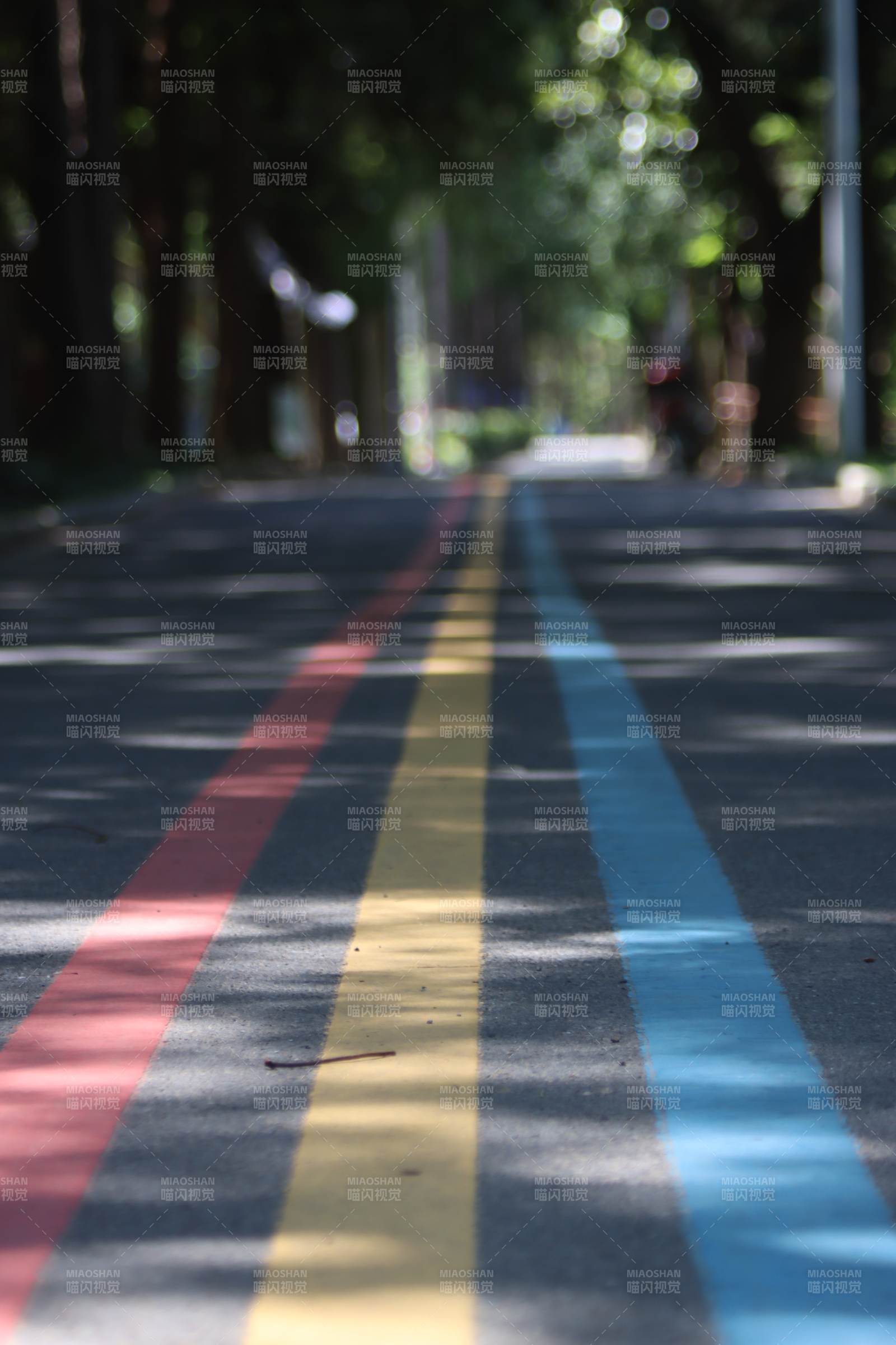 彩色跑道 树影斑驳图片