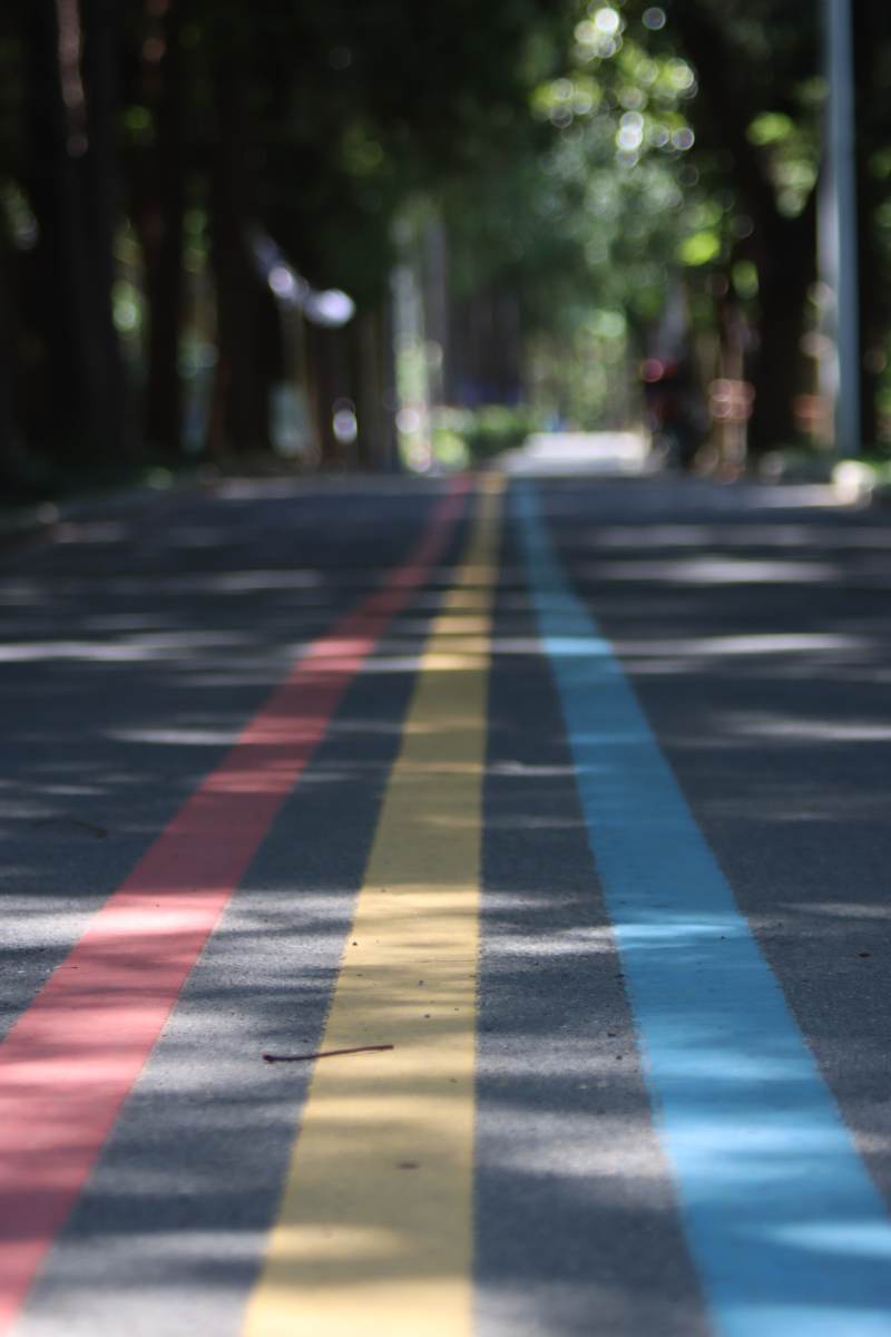 彩色跑道 树影斑驳图片