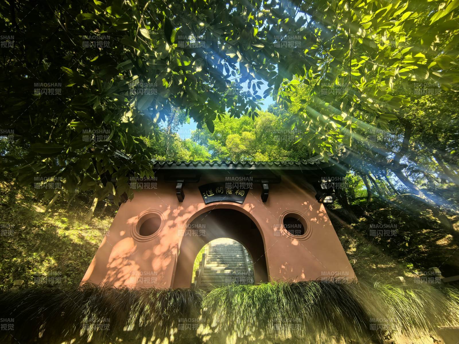 绿树掩映的古色门楼图片