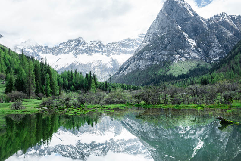 雪山倒影 湖畔绿意浓  双桥沟图片