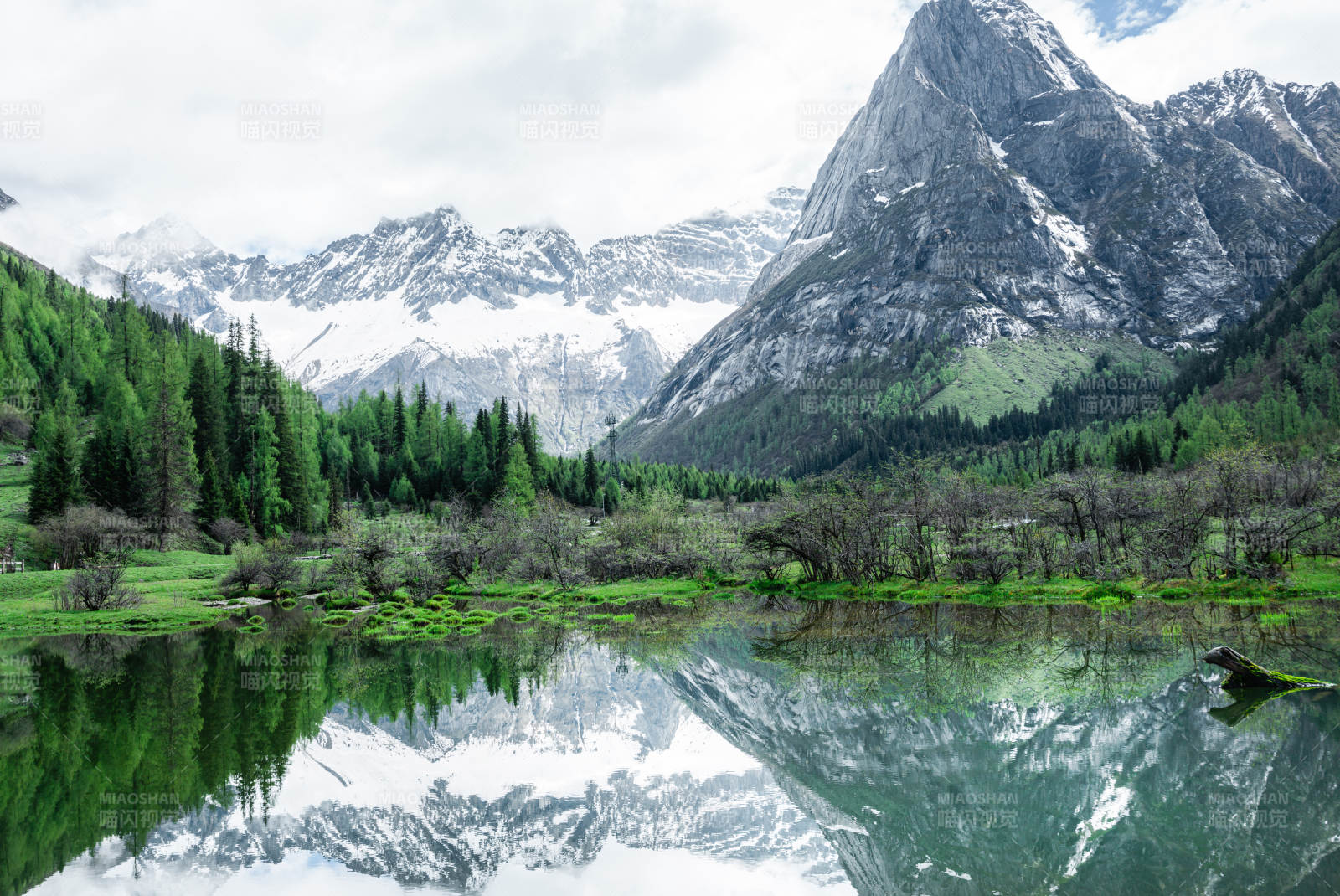 雪山倒影 湖畔绿意浓  双桥沟图片