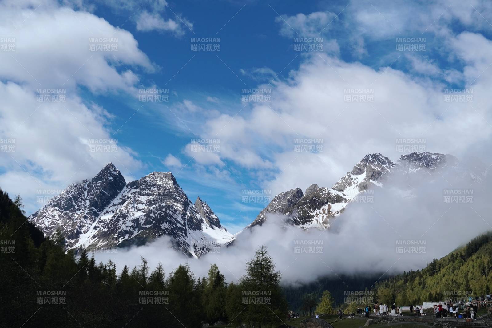 雪山云雾缭绕 景色壮丽 双桥沟图片