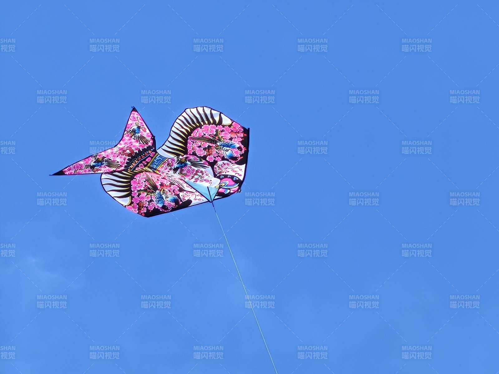 彩色蝴蝶风筝在蓝天中飞翔图片