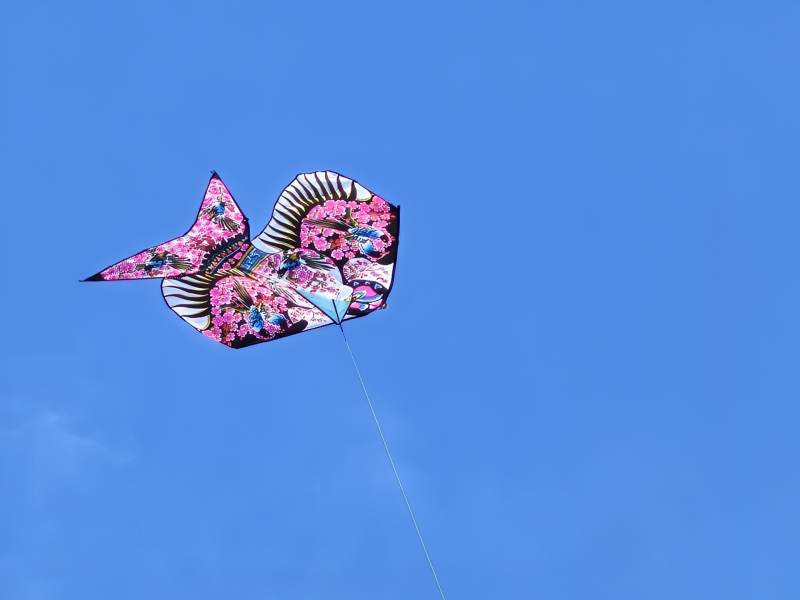 彩色蝴蝶风筝在蓝天中飞翔图片