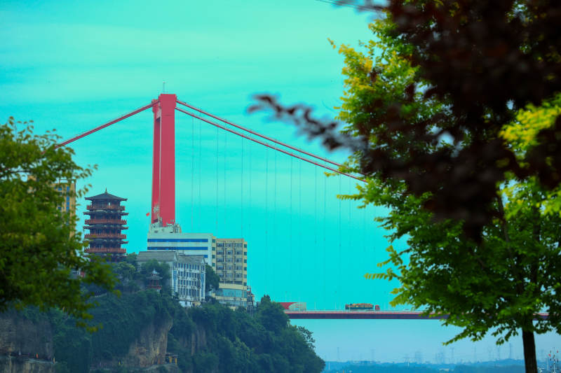 宜昌红色大桥与绿树相映图片