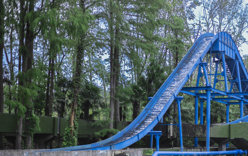 蓝色滑梯与绿树相映成趣图片