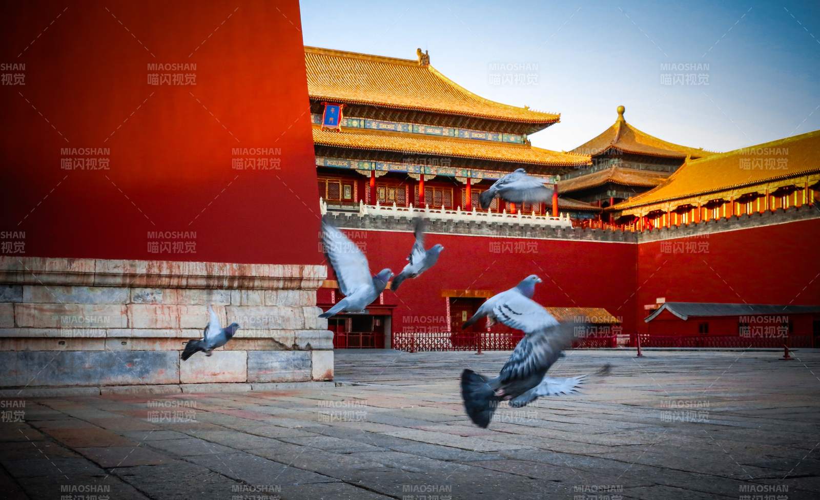 故宫飞鸽 古韵悠扬图片