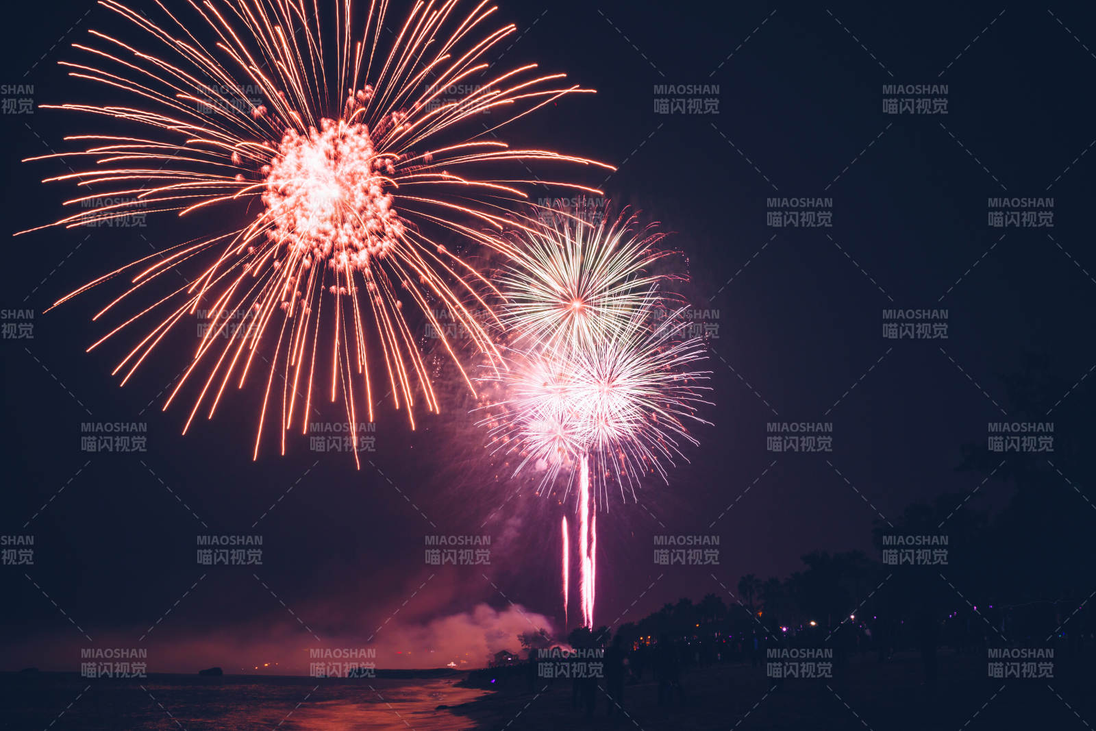 夜空烟花绽放 海边欢庆图片