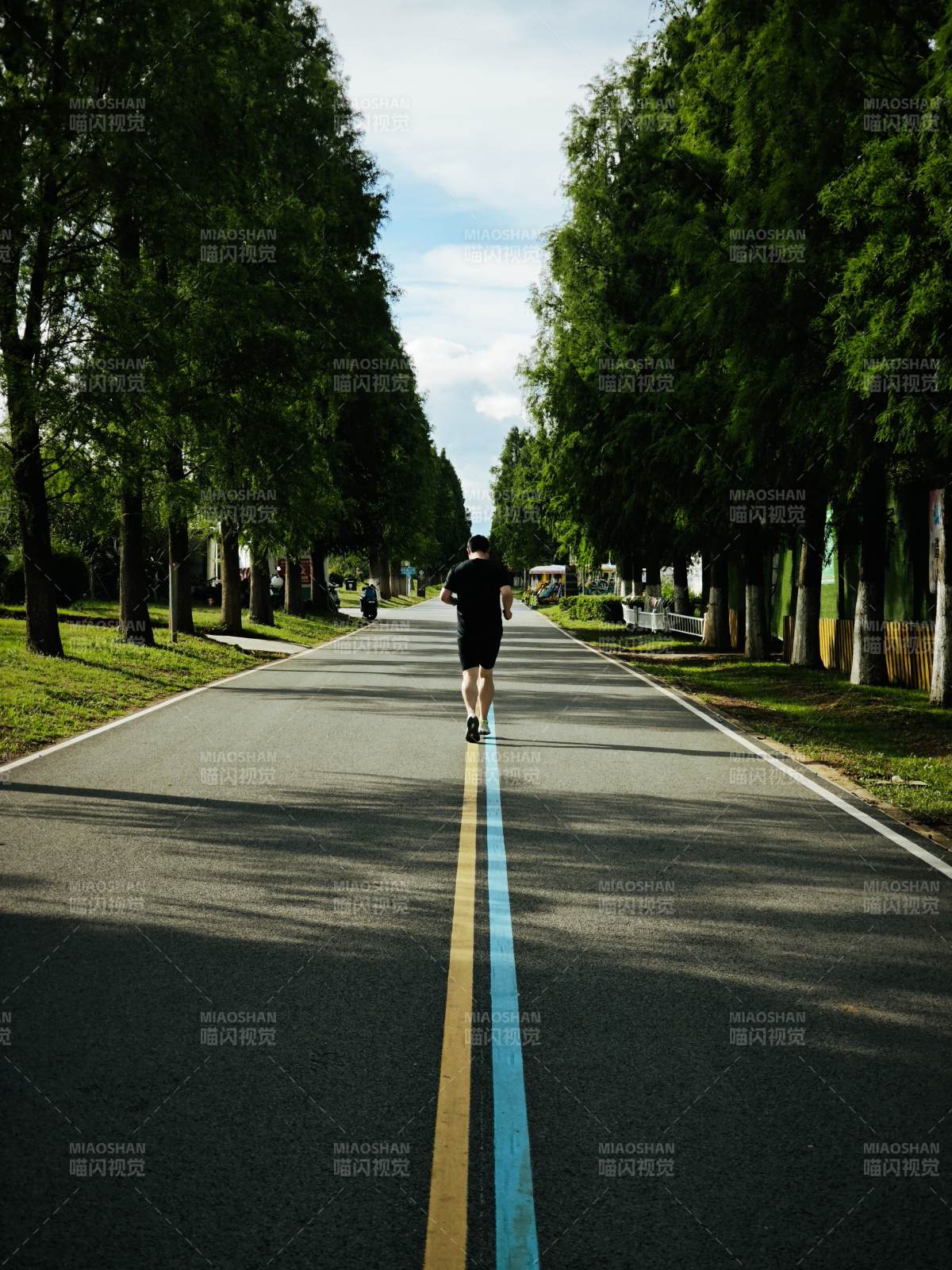 林荫小径 独行者影图片