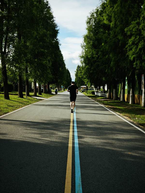 林荫小径 独行者影图片