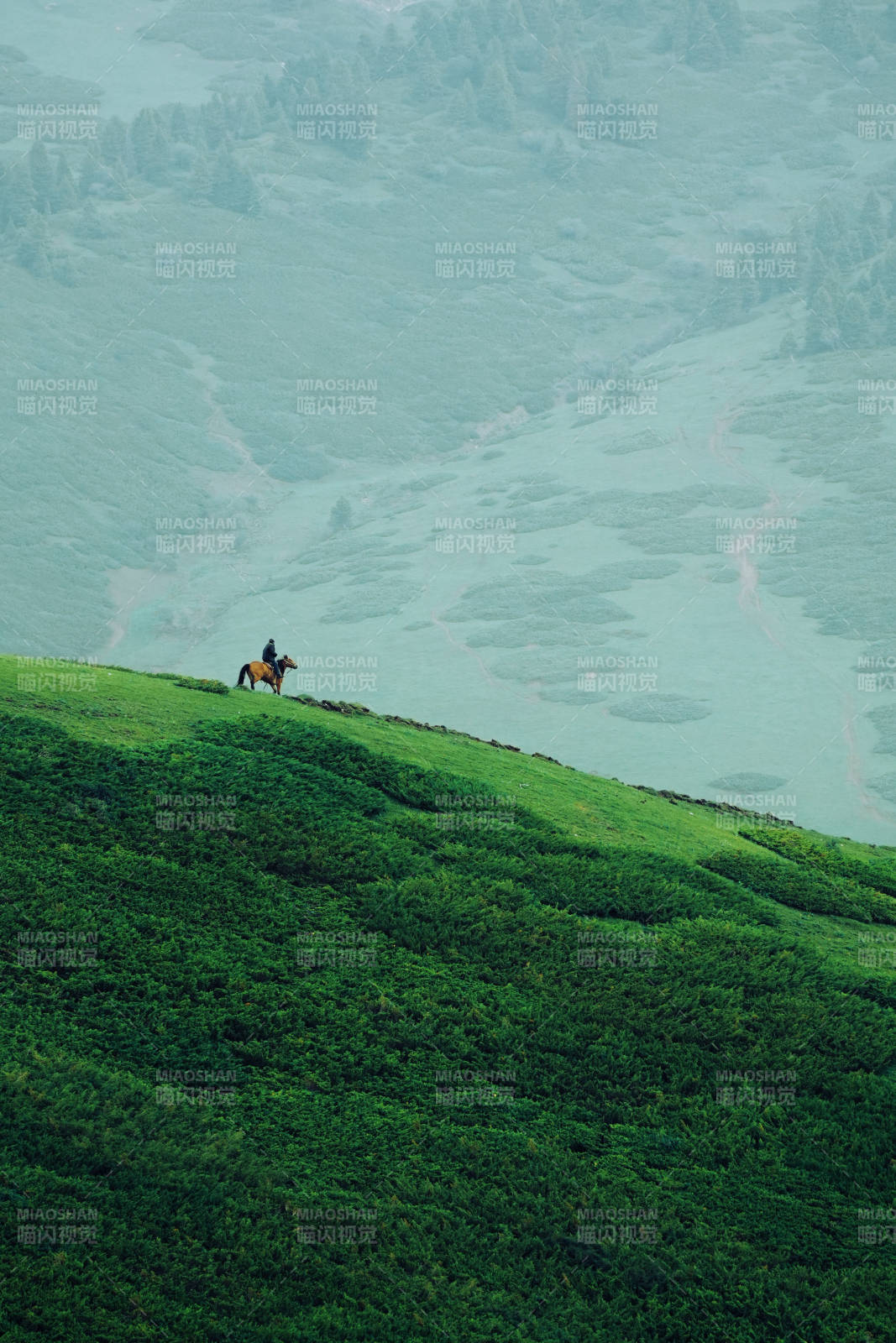 山间骑马 绿野无垠图片