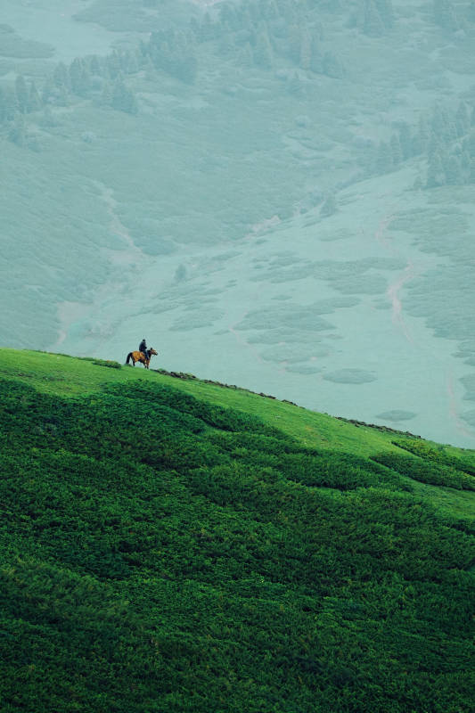 山间骑马 绿野无垠图片
