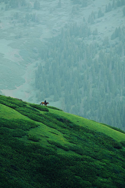 山间骑马 绿野悠然图片