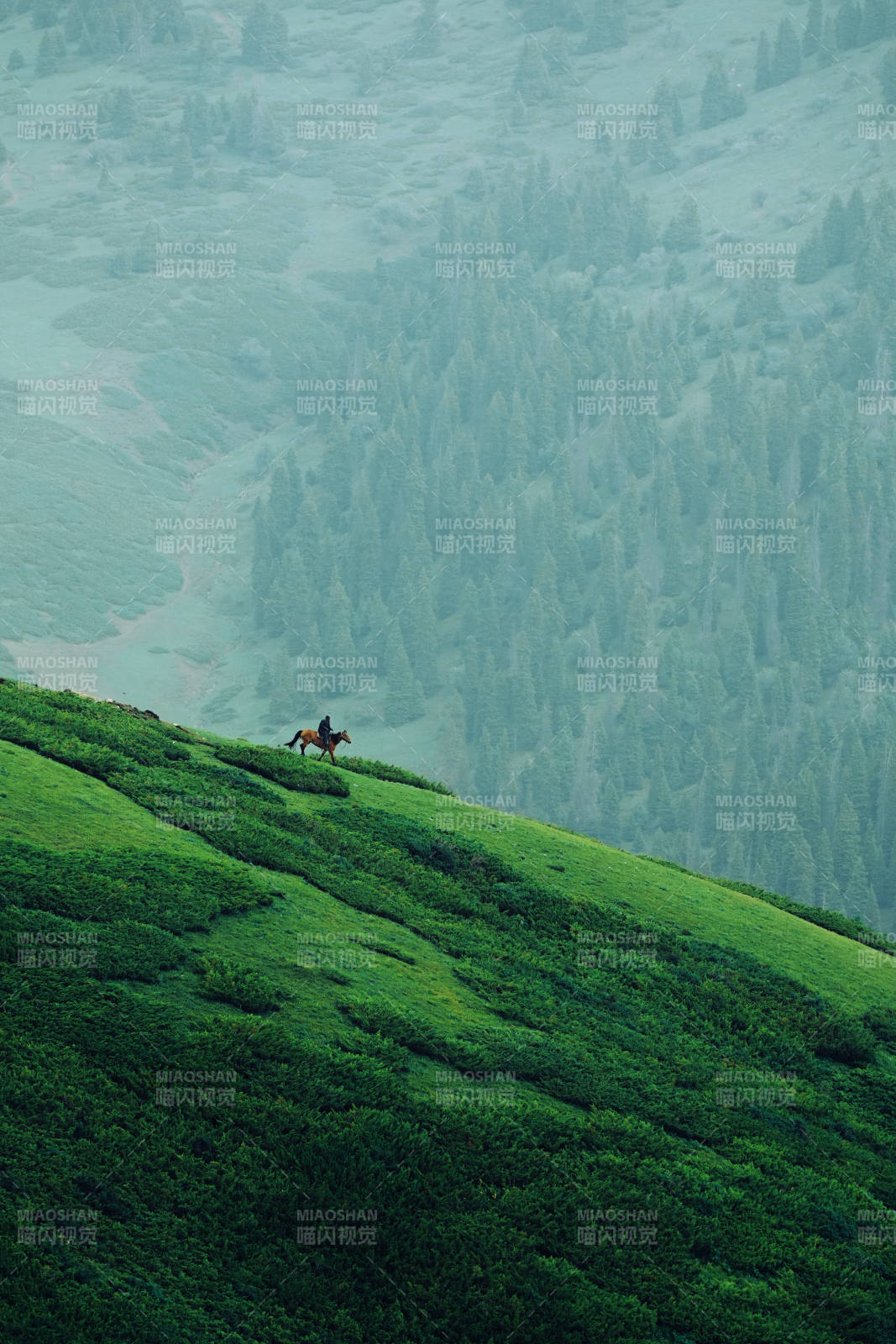 山间骑马 绿野悠然图片