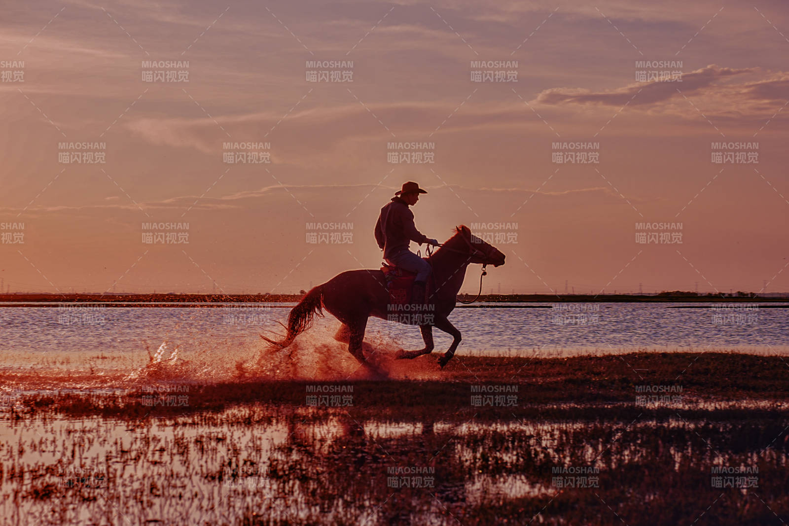 夕阳下的骑马者图片