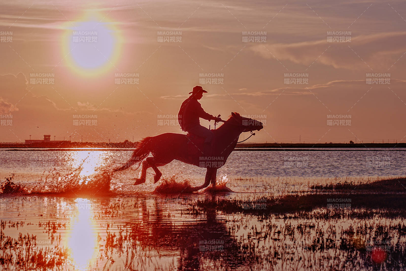 夕阳下的骑马剪影图片