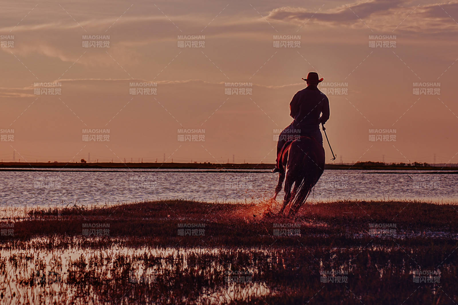 夕阳下的骑马剪影图片
