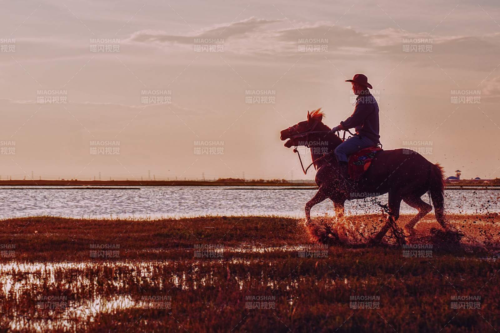夕阳下的骑马人影图片