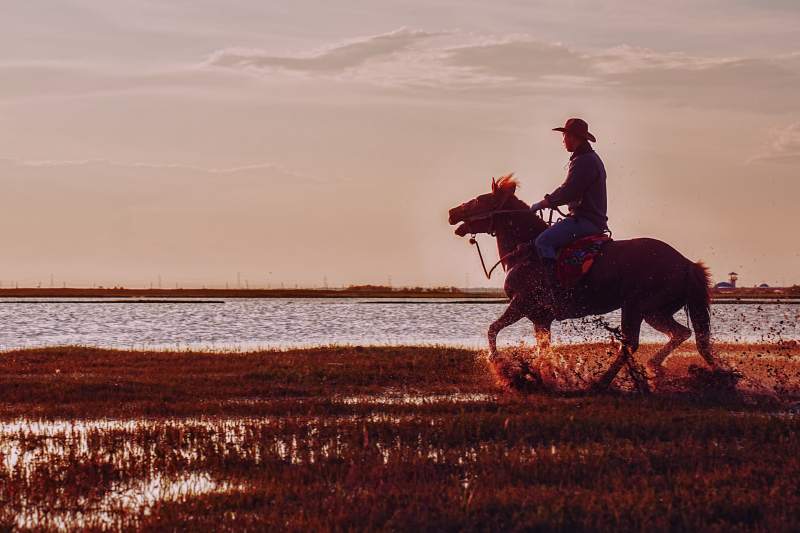 夕阳下的骑马人影图片