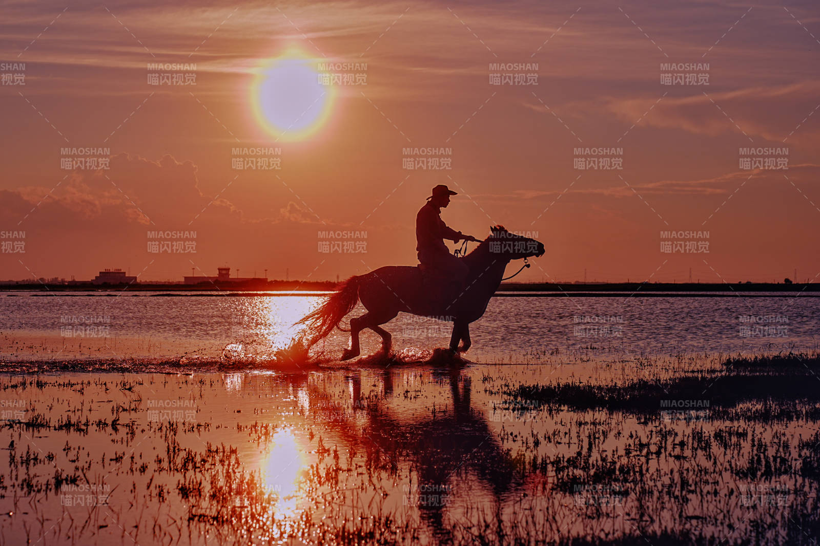 夕阳下的骑马剪影图片