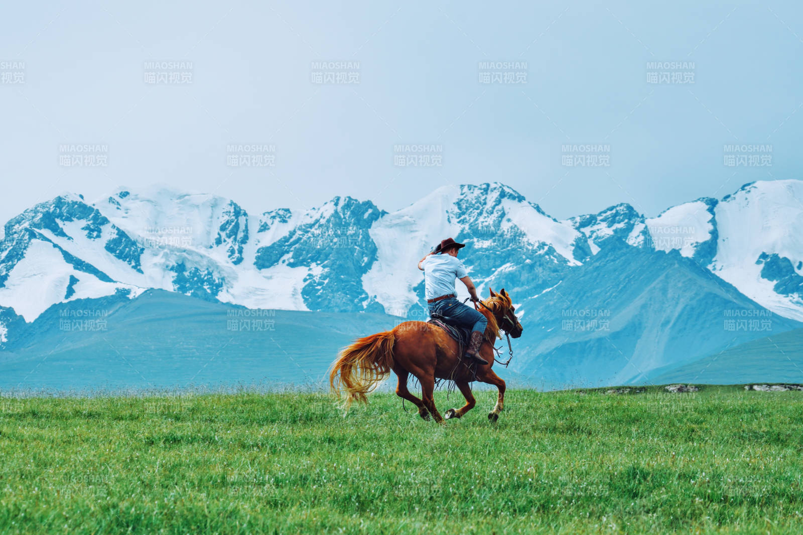 草原骑马 雪山背景图片