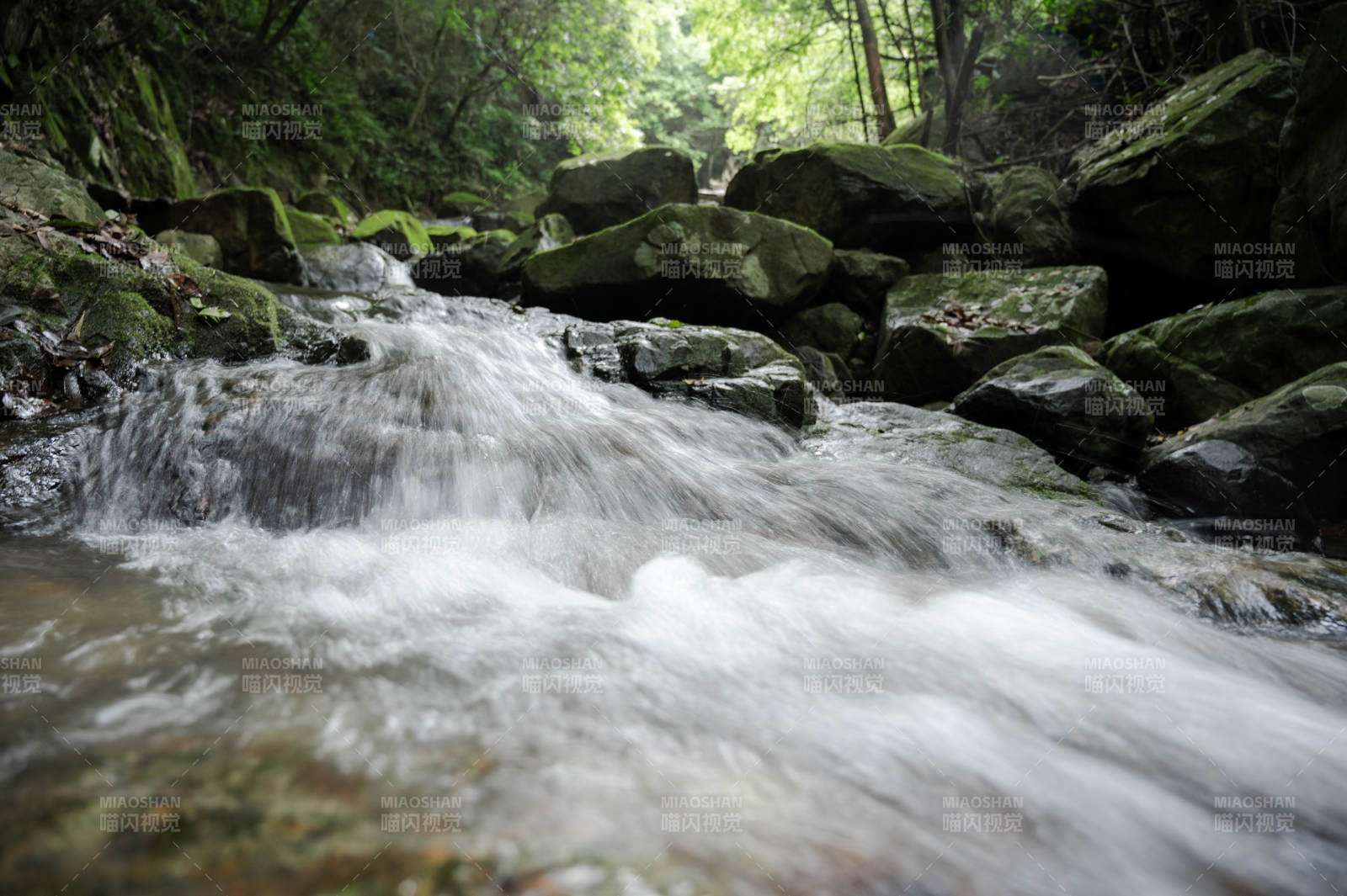 山涧溪流 绿意盎然图片